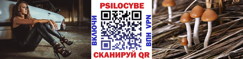 omg вход  Коломна  Псилоцибиновые грибы мицелий 